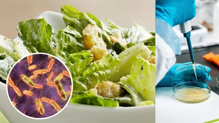 Descoperire șocantă după un control în supermarket: salatele puse la vânzare conțineau o bacterie fatală. Cum a reacționat firma