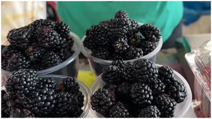 Cireşele de mai şi-au găsit un concurent serios. Cât a ajuns să coste un kilogram de mure în pieţe