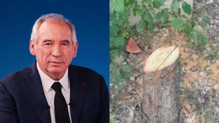 Premierul francez Francois Bayrou denunță „ura antisemită” după ce un copac memorial, care onora un evreu ucis în 2006, a fost tăiat de persoane necunoscute