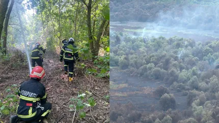 Delta Dunării, cuprinsă de flăcări. Peste 55 de hectare de pădure și vegetație au fost mistuite de foc