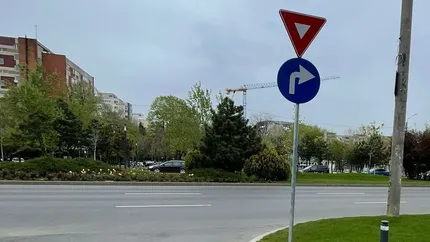 Firmă cu un singur angajat, în vârstă de 79 de ani, contract de 800.000 de lei cu o companie a Primăriei Capitalei