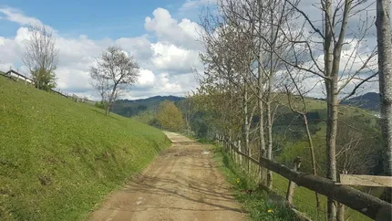 Două școli primare din județul Alba se închid după reorganizare. Copiii trebuie să meargă pe jos doi kilometri până la microbuz, din cauza drumului anevoios