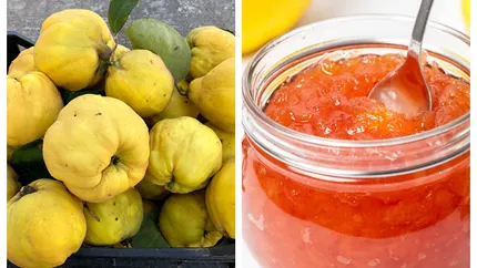 Rețeta simplă de gem de gutui. Este ideal pentru prepararea clătitelor la iarnă