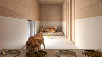 Aeroportul din Roma a deschis un hotel de lux pentru câini. Cât costă o noapte de cazare