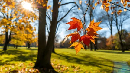 Meteo 13 noiembrie. Vreme caldă și senină în majoritatea regiunilor, cu ceață matinală izolat