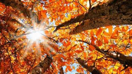 Vine frigul în România. Prognoza meteo pentru final de septembrie - început de octombrie