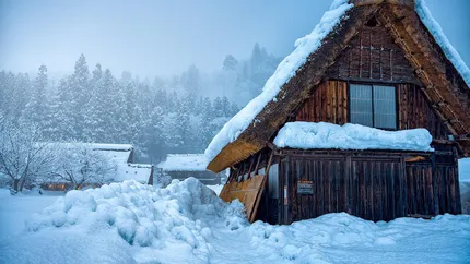 Cum va fi iarna în Europa. În ce țări va ninge cel mai mult, date de ultimă oră de la meteorologi
