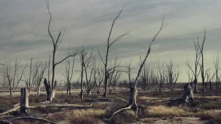 Marile orașe ale lumii riscă să rămână fără apă. Avertismentul făcut de climatologi