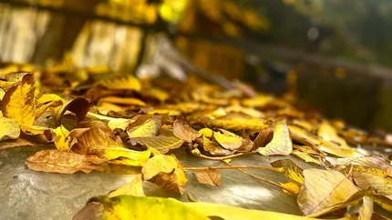 Prognoza meteo 23 octombrie. Vremea se schimbă radical. Gradele scad brusc în termometre și revin ploile