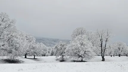 Prognoza oficială pentru minivacanţa de 1 Decembrie. ANM a anunţat cum va fi vremea până la Crăciun 2025