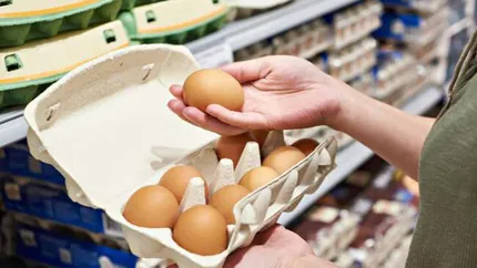 Criză de ouă în magazinele din România. Fermierii preferă să le vândă în Germania sau Franța, datorită prețurilor mai mari