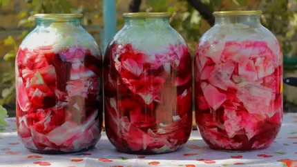 Rețeta de varză murată cu sfeclă roșie: Crocantă, sănătoasă și plină de savoare