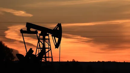 Guvernul rus va discuta oprirea exporturilor de gaze spre Europa