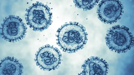 Alertă sanitară la Spitalul de Psihiatrie Ștei. Caz de hantavirus confirmat, opt pacienți plasați în carantină