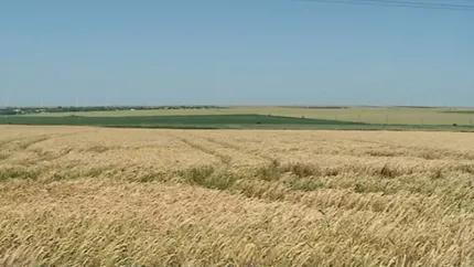 Agricultura începe să schimbe balanța comercială a României. BNR: Exporturile de materii prime agricole au crescut cu 13,9%