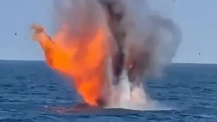 Două drone cu posibilă încărcătură explozivă, găsite în apropiere de Neptun Deep. Forțele Navale Române le-au detonat controlat