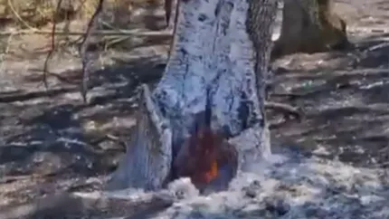 Misterul focului care arde de un an sub pământ, în Lunca Mureșului. Pompierii nu reușesc să stingă focarul