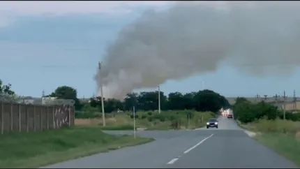 Incendiul a distrus stația de sortare a deșeurilor din Leț. Activitatea continuă, iar cei 40 de angajați își păstrează locurile de muncă