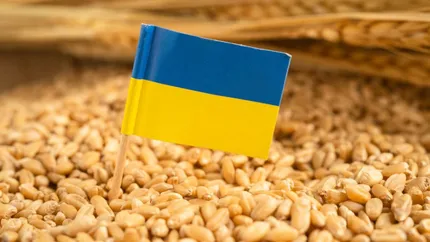 LAPAR cere control strict pentru cerealele ucrainene: „Nu putem lăsa tranzitul să blocheze agricultura și logistica României”