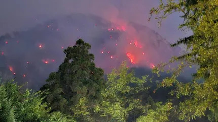 Incendiu de proporții în Rezervația Domogled. 400 de hectare au ars, iar flăcările se apropie de Băile Herculane
