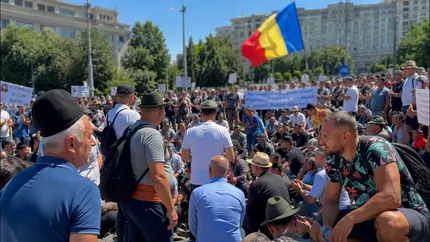 Oierii ies în stradă, în Piața Victoriei. Cer oprirea sacrificării animalelor și reluarea exporturilor