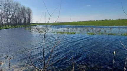 Proiect de 3,39 milioane de euro pentru râul Jieț și biodiversitatea din regiunea Dunării. Se analizează reconectarea cu Jiul