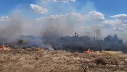Incendiu de vegetație în Vrancea: Flăcările au cuprins aproximativ 10 hectare