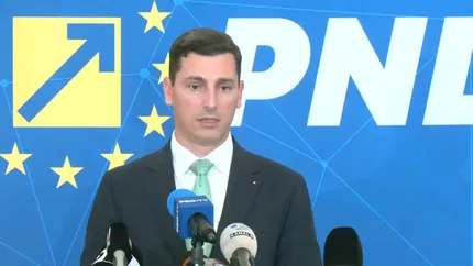 Ionel Bogdan: PNL ia în calcul să voteze guvernul Niculescu, dar să rămână în Opoziție