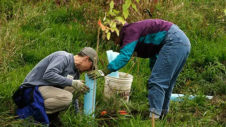 Ziua Gărzii Naţionale de Mediu, sărbătorită prin plantare de copaci şi educaţie ecologică