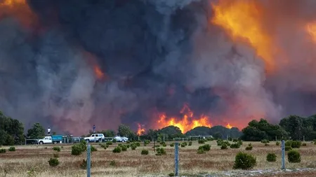 Un scafandru australian scapă din incendiu sărind cu echipamentul în piscina vecinului