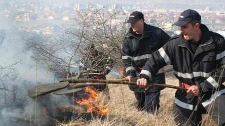 Circulaţia pe A1, reluată, după ce a fost oprită din cauza unui incendiu de vegetaţie