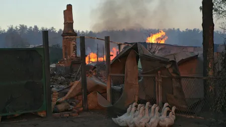 Siberia: Incendiu cu cel putin cinci morţi, printre care şi un copil