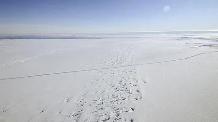 O crăpătură gigantică, descoperită într-un gheţar din Antarctica VIDEO
