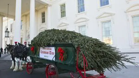 Familia Obama a primit pomul de Crăciun la Casa Albă