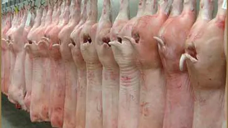 România va exporta din nou carne de porc, după opt ani