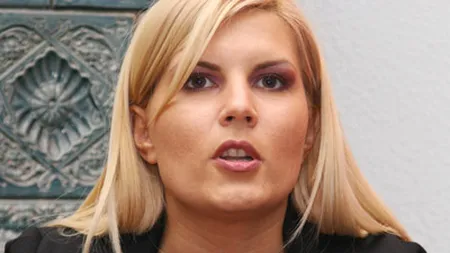 Elena Udrea: Moţiunea n-are nici o şansă. Colegii din Opoziţie sunt deja la tăierea porcului