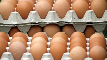 Ouăle marcate cu cifra 3 vor fi retrase de pe piaţă începând cu 1 ianuarie