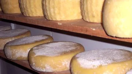 Republica Moldova: Contrabandă cu 900 de kilograme de brânză la frontiera cu România