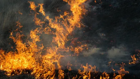Incendiu devastator în Siberia. Un aeroport, complet distrus - VIDEO