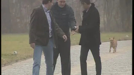 Scandalul din familia Truică s-a mutat la poarta miliadarului din Snagov VIDEO