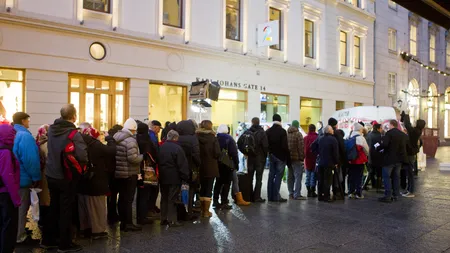 În Norvegia este criză de unt Scandinavii redescoperă cozile şi zootehnia
