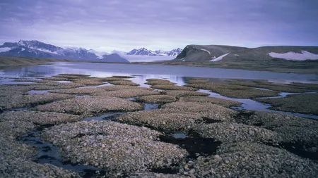 Elixirul tinereţii, descoperit în Siberia: O bacterie încetineşte procesul de îmbătrânire