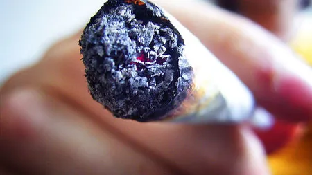 Un deputat polonez vrea să fumeze marijuana în Parlamentul de la Varşovia