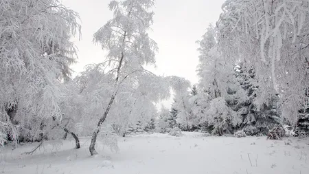 COD ROŞU de ger în Republica Moldova: În nord se vor înregistra -31 de grade Celsius