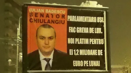 Senator USL a dat în judecată PDL pentru panourile în care apare drept 