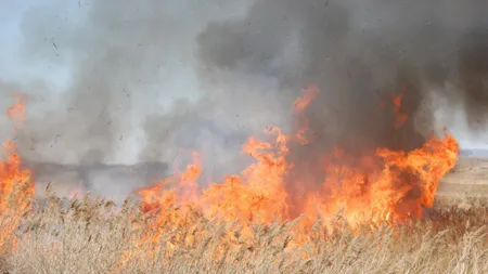 Incendiu de vegetaţie lângă Suceava