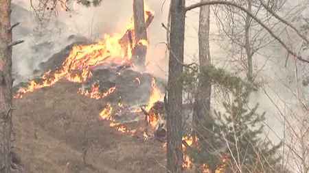 Incendiu de vegetaţie pe Valea Oltului, după ce oamenii au dat foc câmpului