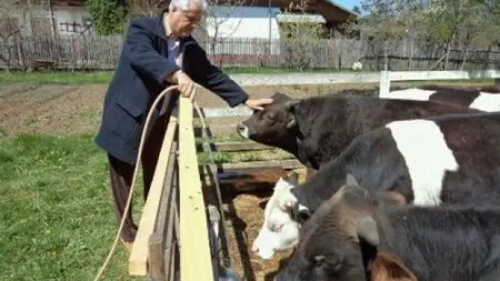 Năstase a rămas fără ouă, dar ferma îi aduce bani