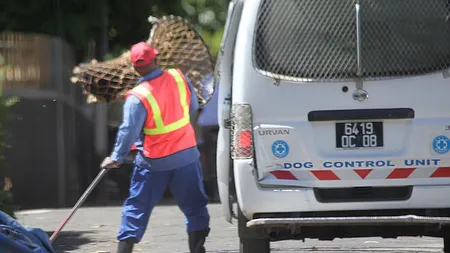 Paradisul din Mauritius, un infern pentru câini: Hingherii fură chiar şi căţeii cu stăpân