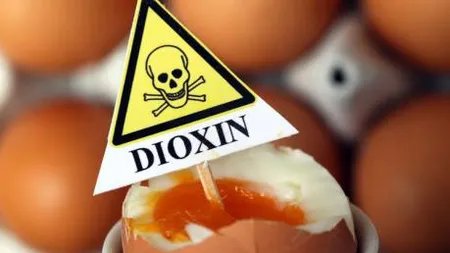 Dioxină peste limita admisă descoperită în ouăle de la ferme din Germania